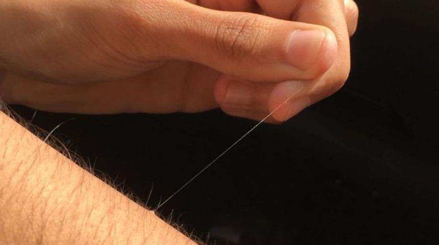 Vücut kıllarınızdan bazıları neden daha uzun?