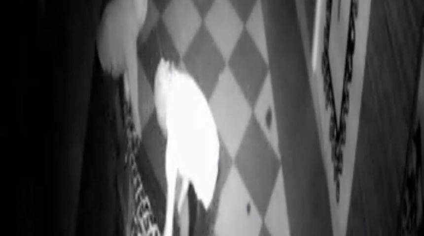 &Ccedil;elik kasayı taşımayı başaramayınca... Yakayı ele verdiler!