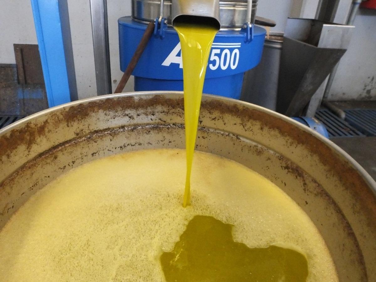 Burhaniye ve G&ouml;me&ccedil;  Zeytinyağı tescillendi