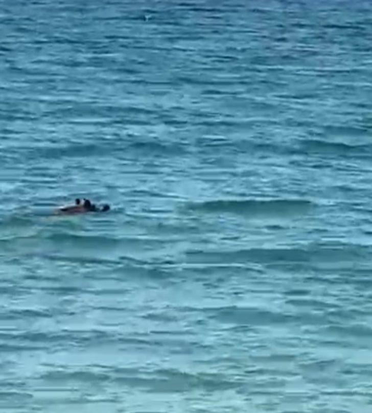 Sıcaktan bunalan domuzun deniz keyfi G1