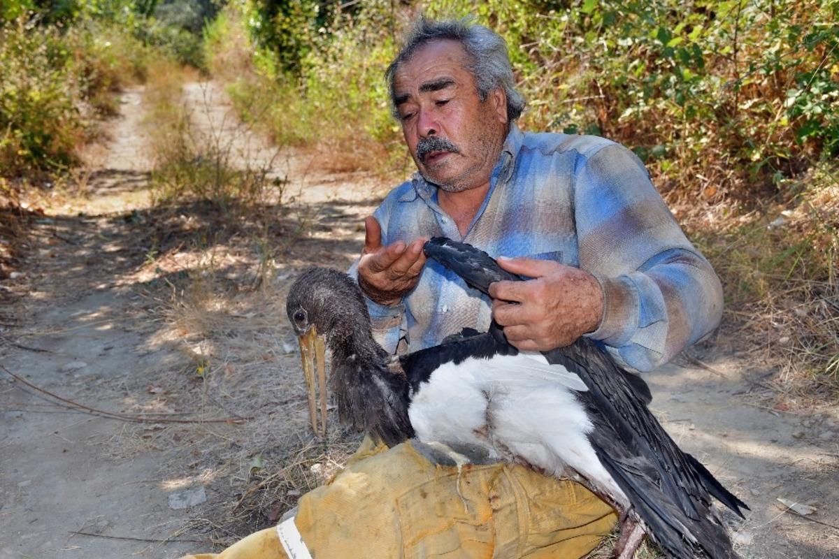 S&ouml;ke&rsquo;de Kara Leylek acımasızların kurbanı oldu