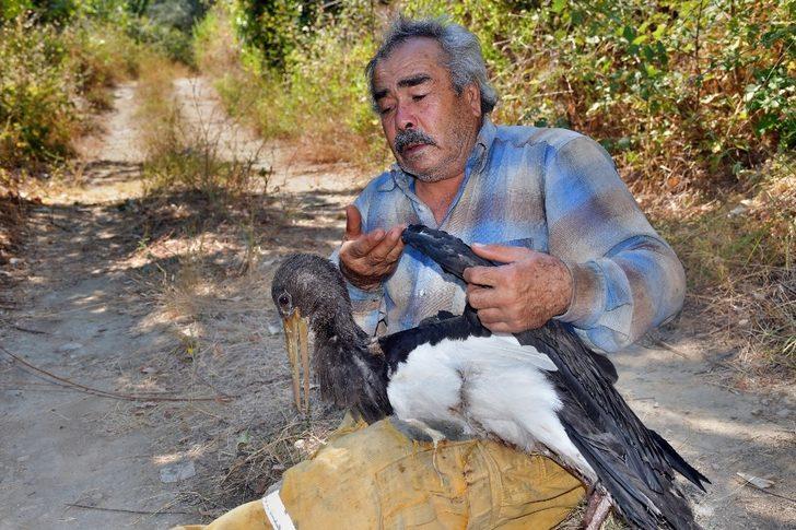 Söke’de Kara Leylek acımasızların kurbanı oldu G1
