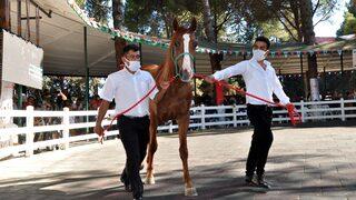  Dubleks ev fiyatına tay