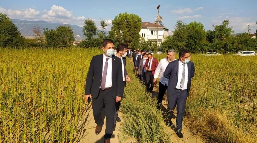 Tarih, toprak altından &ccedil;ıkarılmayı bekliyor