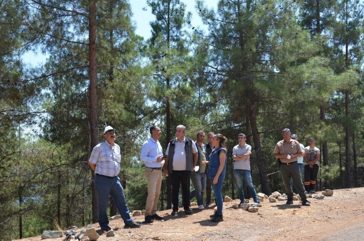 Akduman, Erdemli&rsquo;deki ormancılık faaliyetlerini inceledi