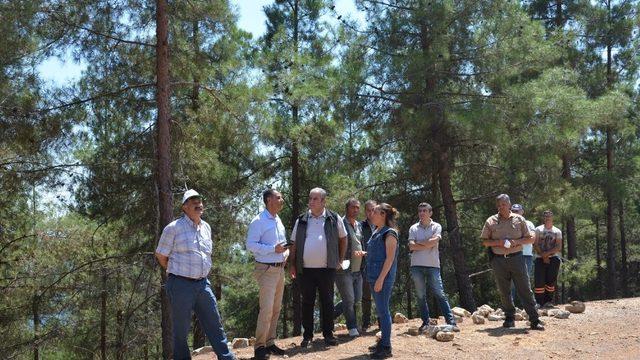 Akduman, Erdemli’deki ormancılık faaliyetlerini inceledi