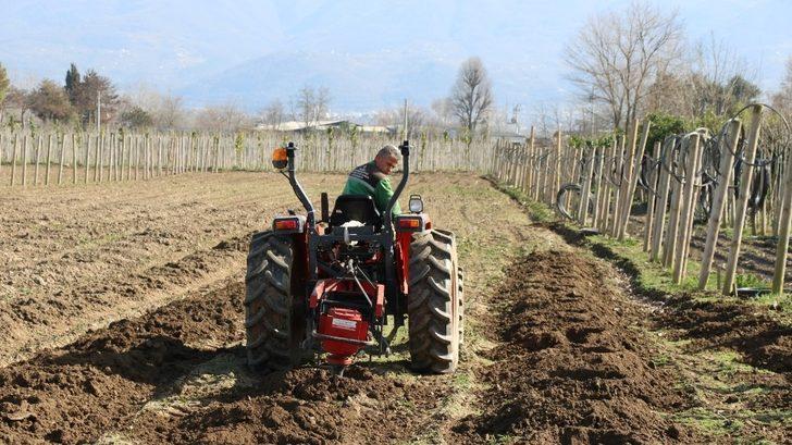 Kocaeli’de her yıl 10 bin yeni fidan toprakla buluşuyor G3