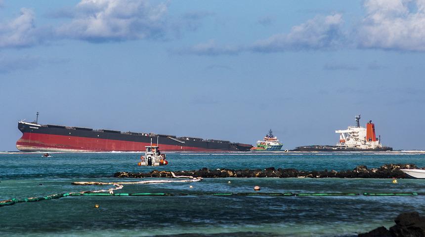 Mauritius'taki petrol faciası ekosistemi tehdit ediyor: 17 yunus &ouml;l&uuml; bulundu