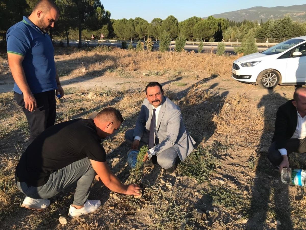 Manisa &Uuml;lk&uuml; Ocaklarından Malazgirt Zaferinin anısına 1071 fidan