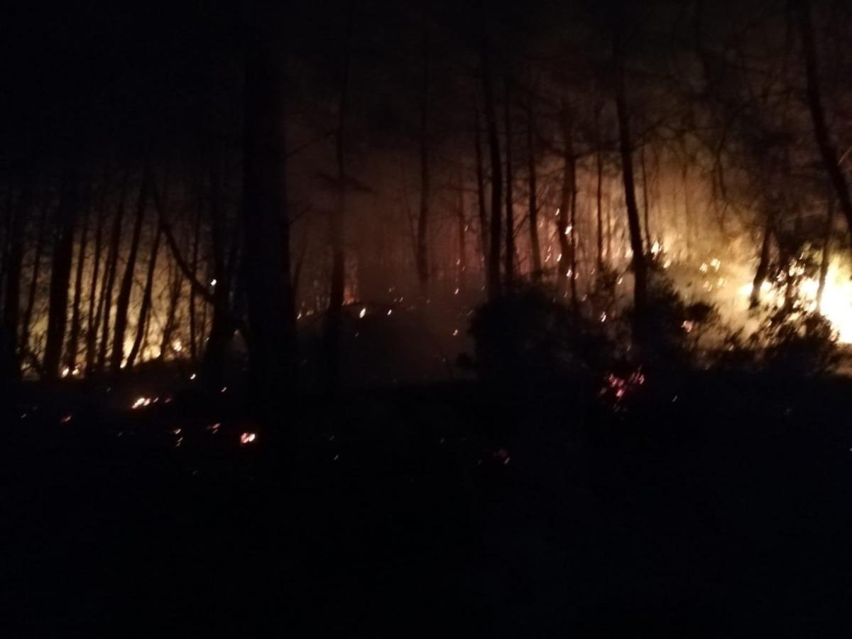 G&ouml;cek&rsquo;teki orman yangını kontrol altına alındı