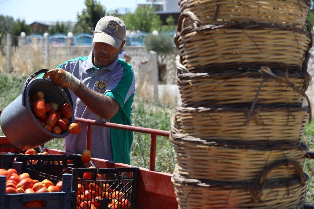 Buca&rsquo;da bin 255 aileye 15 ton &uuml;r&uuml;n desteği