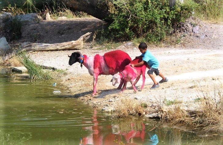 Yüzyıllardır süren gelenek pandemi nedeniyle temsili olarak yapıldı G3