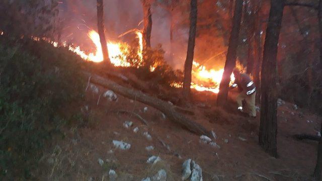 Menteşe’de yıldırım yangını büyümeden söndürüldü