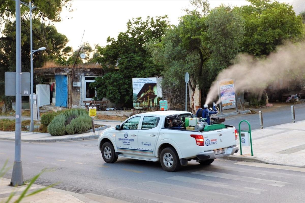 B&uuml;y&uuml;kşehir&rsquo;den haşere ile bilimsel m&uuml;cadele