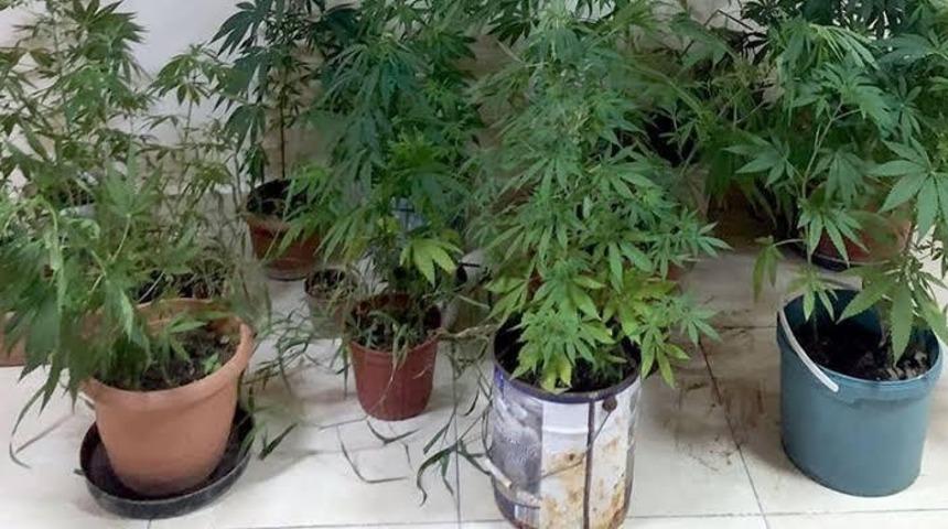 Milas’ta jandarmadan uyuşturucu baskını