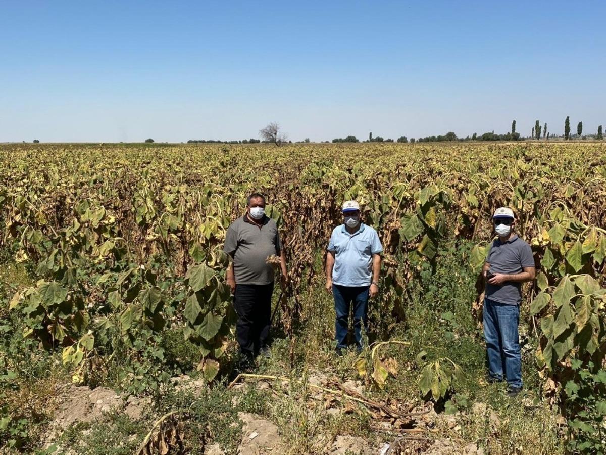 Aksaray&rsquo;ın ay&ccedil;i&ccedil;eği araştırılacak