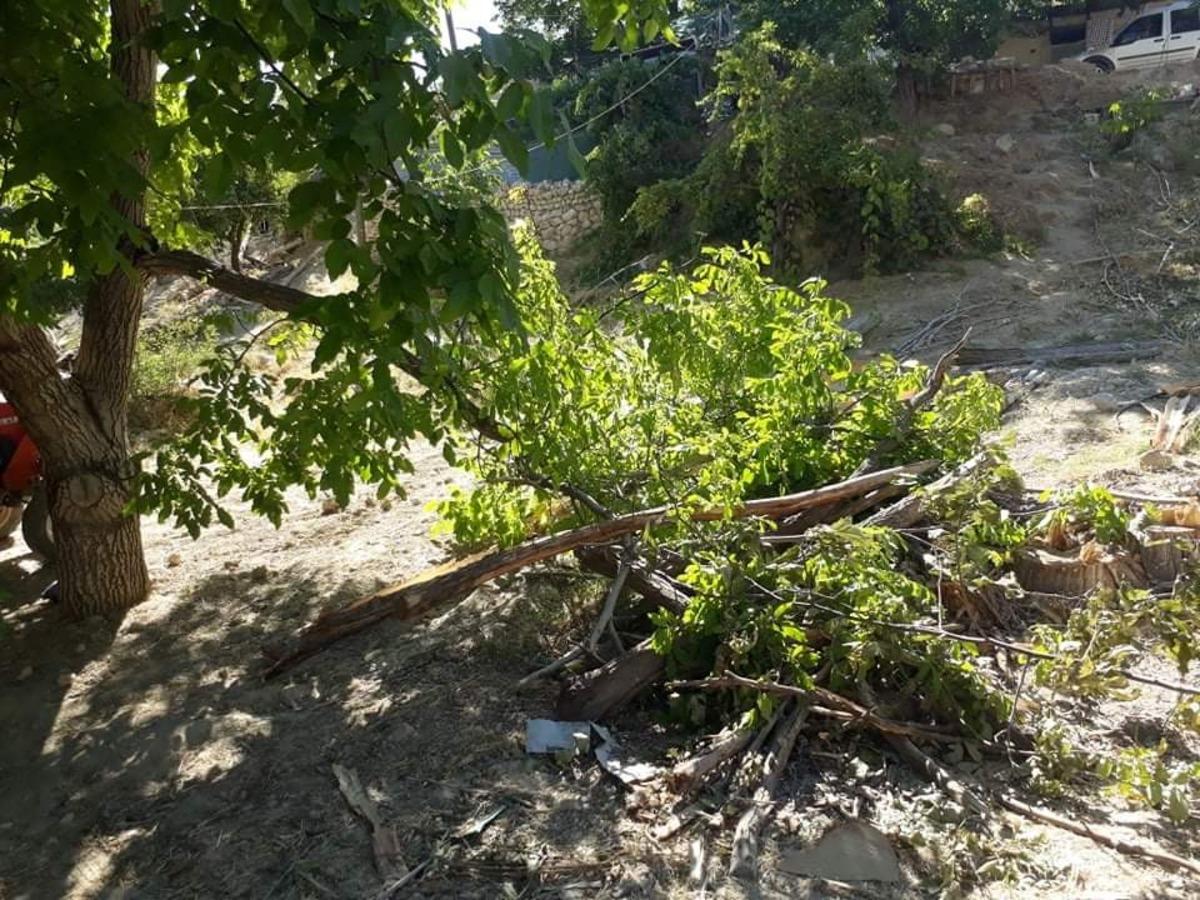 Kuvvetli r&uuml;zgar, elma bah&ccedil;esine zarar verdi