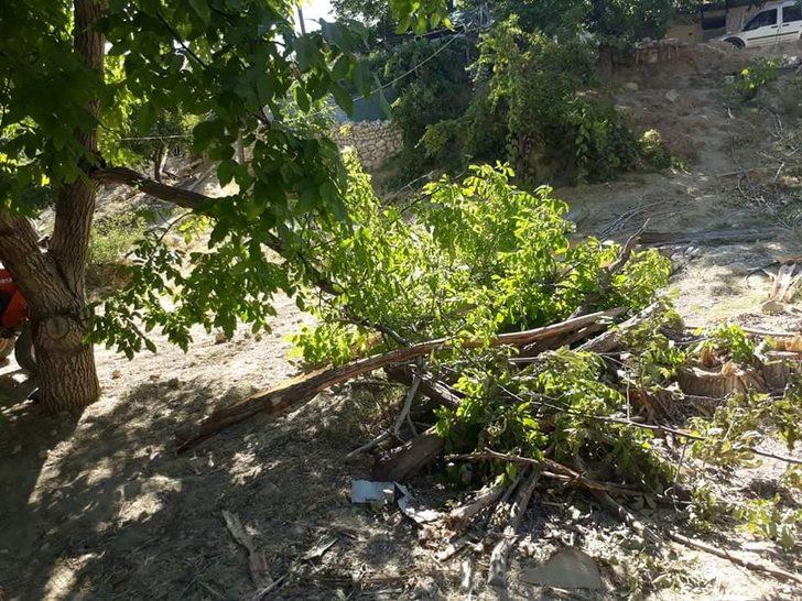 Kuvvetli rüzgar, elma bahçesine zarar verdi G1