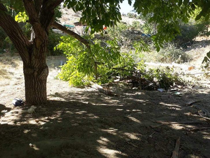 Kuvvetli rüzgar, elma bahçesine zarar verdi G2