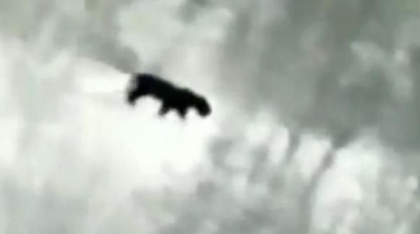 Efsanenin en net g&ouml;r&uuml;nt&uuml;s&uuml; geldi! 'Sakın vurmayın'