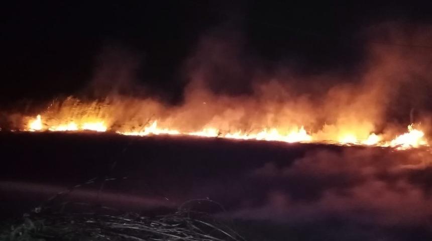 Kopan elektrik telleri bah&ccedil;ede yangın &ccedil;ıkardı