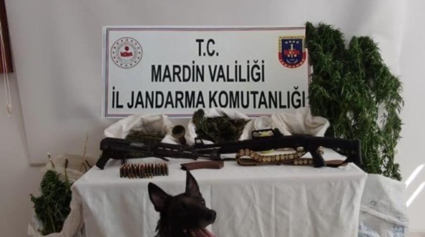 Mardin’de  uyuşturucu operasyonu