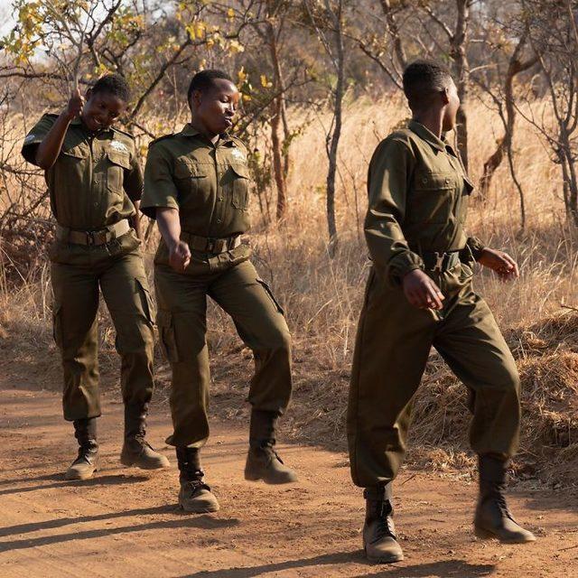 7-protecting-elephants-poachers-zimbabwe-female-army-5f3cd274a20e9__700