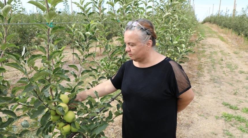 Mahmudiye’de 5 bin ton kapasiteli soğuk hava deposunun yapımı tamamlandı