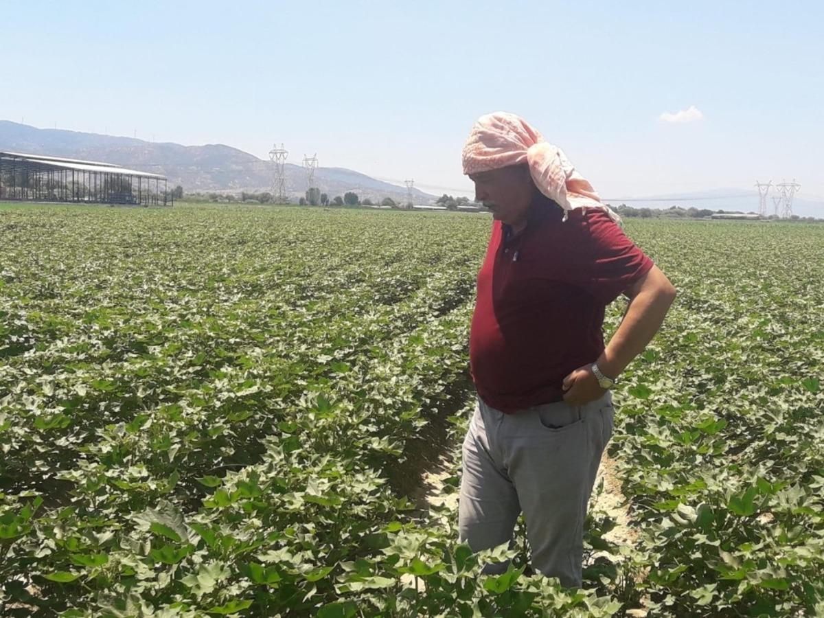 Ziraat Odaları Koordinasyon Kurulu Başkanı Kendirlioğlu, pamuktaki sıkıntıları dile getirdi