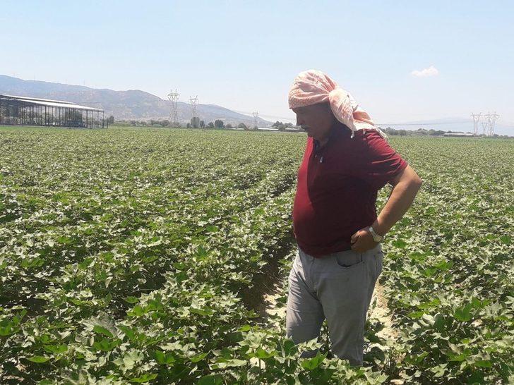 Ziraat Odaları Koordinasyon Kurulu Başkanı Kendirlioğlu, pamuktaki sıkıntıları dile getirdi G1
