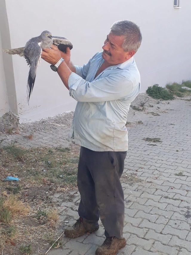 Muhtar havada yakaladığı atmacayı bağrına bastı