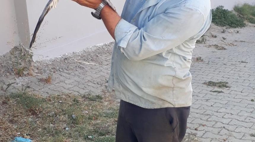 Muhtar havada yakaladığı atmacayı bağrına bastı
