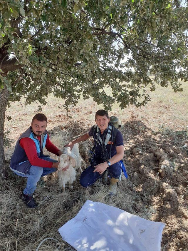 Kuyuya düşen oğlağı itfaiye ekipleri kurtardı