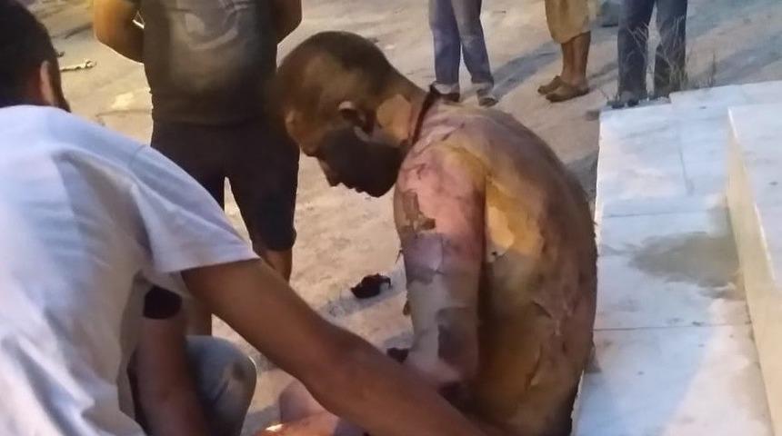 Tiner dökerek yaktıkları iddia edilmişti! Kahreden haber