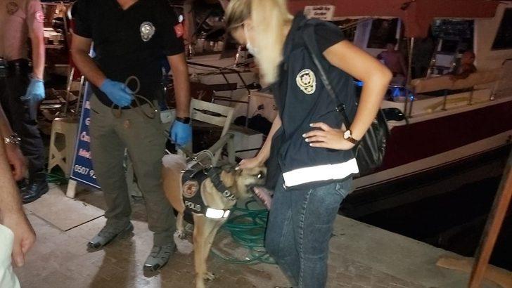 Datça’da 100 polisle dev uygulama G3