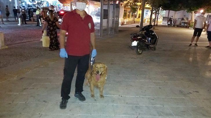 Datça’da 100 polisle dev uygulama G4