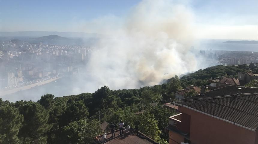 Maltepe'de ormanlık alanda yangın çıkardığı iddia edilen şüpheli yakalandı