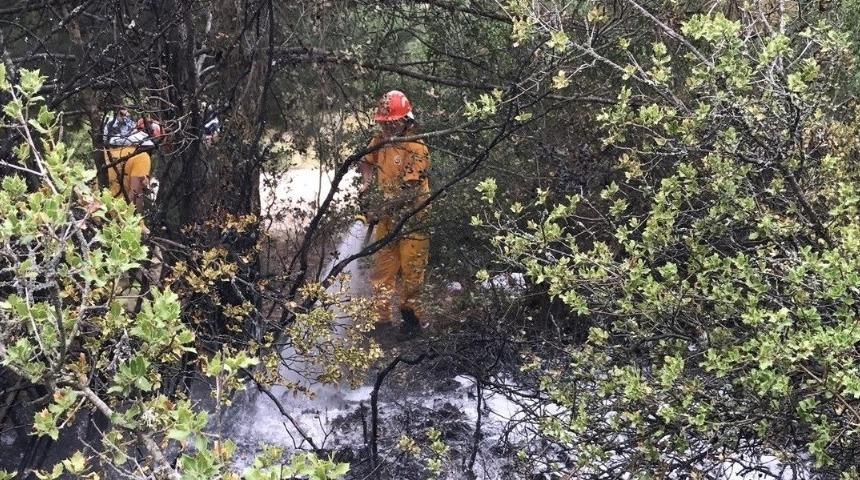 Orman yangın b&uuml;y&uuml;meden s&ouml;nd&uuml;r&uuml;ld&uuml;