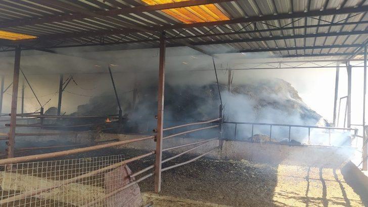 Çine’de ahır yangını G1