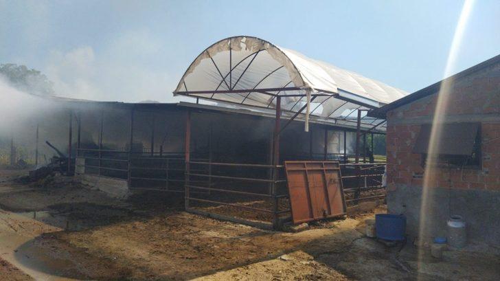 Çine’de ahır yangını G2