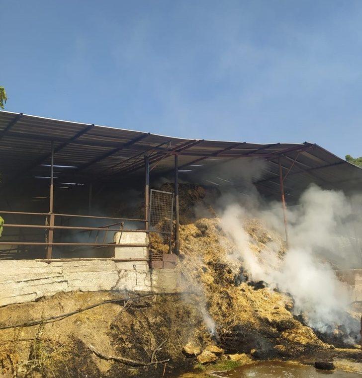 Çine’de ahır yangını G4