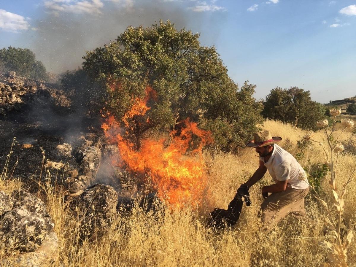 Gerc&uuml;ş&rsquo;te &ccedil;ıkan yangında bin d&ouml;n&uuml;ml&uuml;k alan k&uuml;l oldu