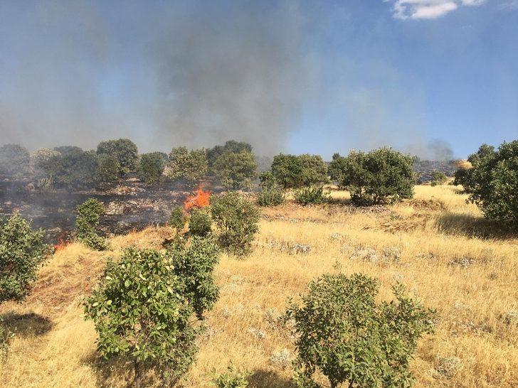Gercüş’te çıkan yangında bin dönümlük alan kül oldu G3