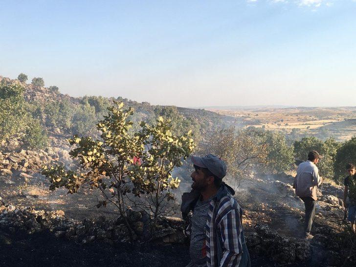 Gercüş’te çıkan yangında bin dönümlük alan kül oldu G4