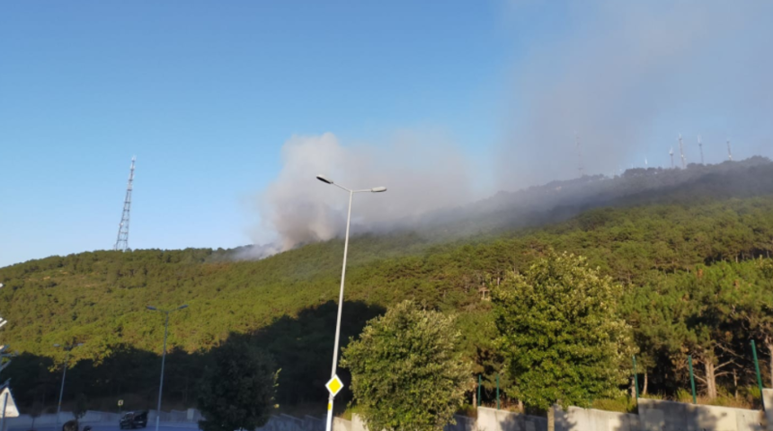 Maltepe'de 4 g&uuml;nde 4. orman yangını