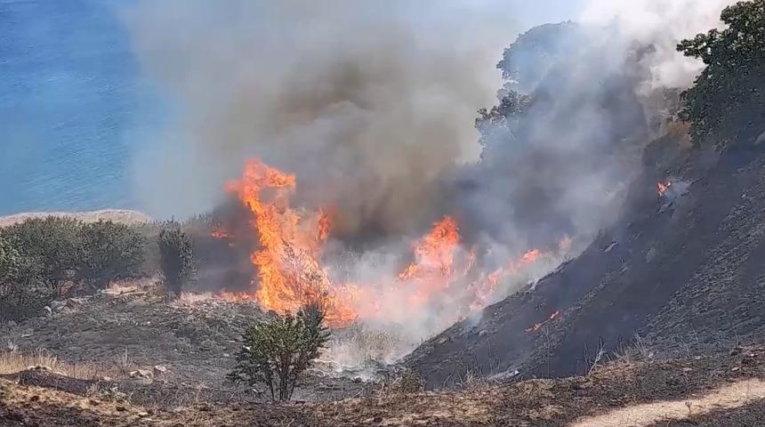 İstanbul'da mangal yakan tatilci yangın &ccedil;ıkardı