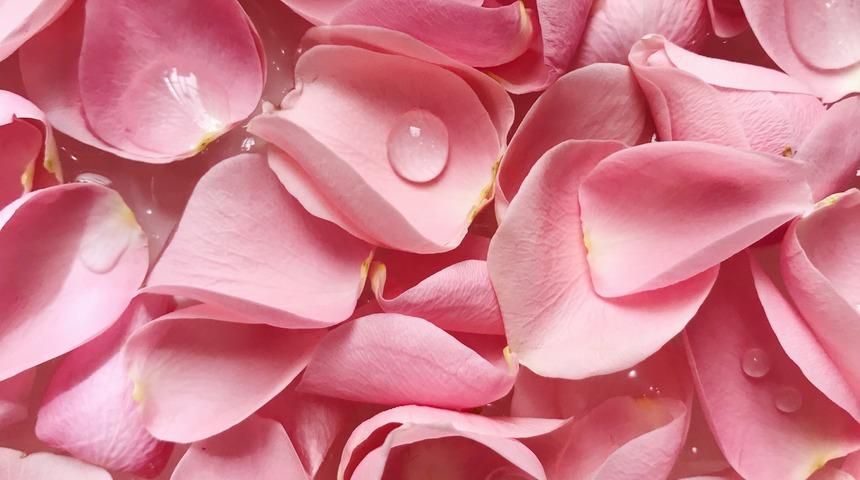 G&uuml;l suyunun ciltte bıraktığı etkiye inanamayacaksınız! Cildi nemlendiren g&uuml;l suyu aynı zamanda...