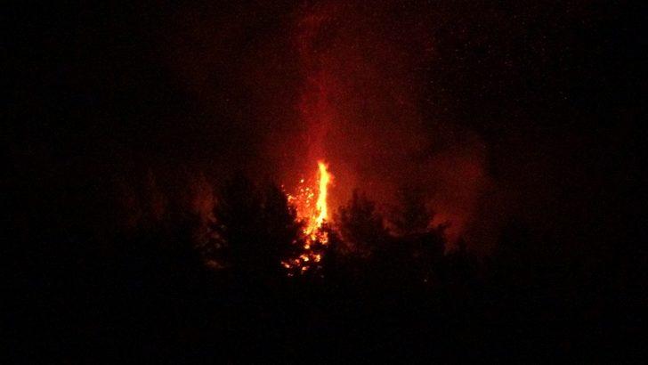 Uşak’ta çıkan orman yangını paniğe neden oldu G3