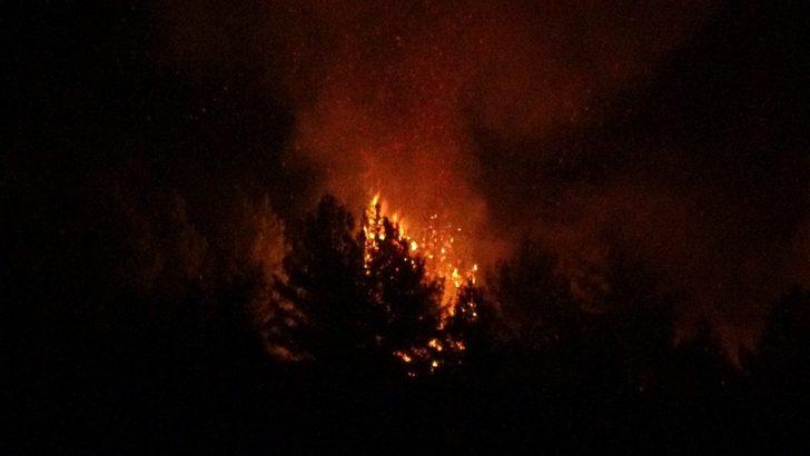 Uşak’ta çıkan orman yangını paniğe neden oldu G4