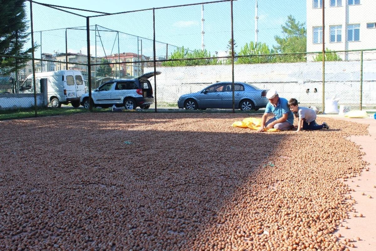 &Uuml;reticinin fındık kurutma m&uuml;cadelesi
